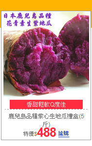 鹿兒島品種
紫心生地瓜禮盒(5斤)
