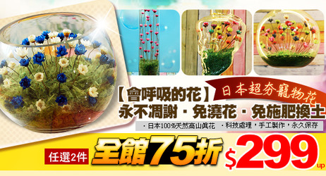 百貨/家飾