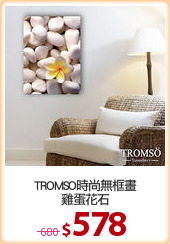 TROMSO時尚無框畫
雞蛋花石