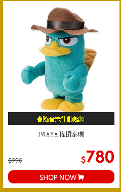 IWAYA 搖擺泰瑞