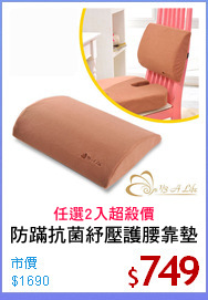 防蹣抗菌紓壓護腰靠墊