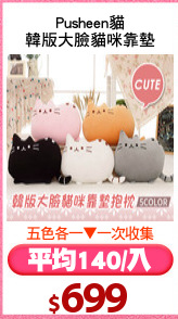Pusheen貓
韓版大臉貓咪靠墊