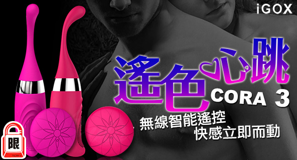 情趣