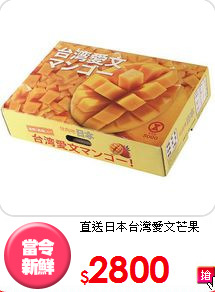 直送日本
台灣愛文芒果