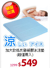 加大款低反發凝膠冰涼墊<br>
(超值兩入)