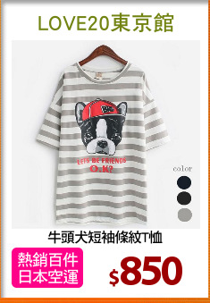 牛頭犬短袖條紋T恤