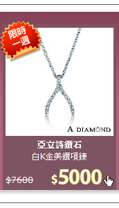 白K金美鑽項鍊