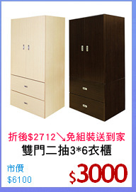 雙門二抽3*6衣櫃