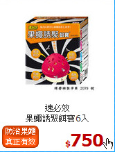速必效<BR>
果蠅誘聚餌寶6入