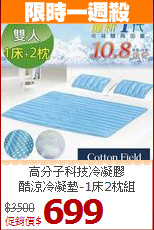 高分子科技冷凝膠<BR>
酷涼冷凝墊-1床2枕組
