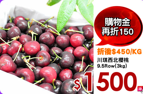 川琪西北櫻桃
9.5Row(3kg)