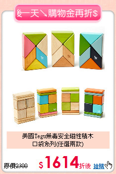 美國Tegu無毒安全磁性積木<br>口袋系列(任選兩款)