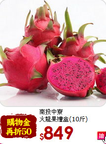 南投中寮<br>火龍果禮盒(10斤)