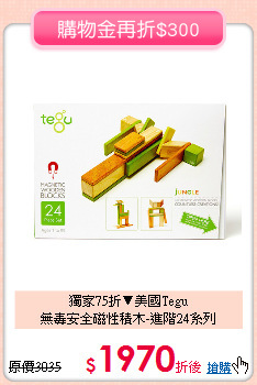 獨家75折▼美國Tegu<br>
無毒安全磁性積木-進階24系列