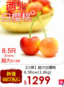 【川琪】超大白櫻桃<br>
8.5Row(1.8kg)