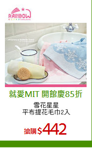 雪花星星
平布提花毛巾2入