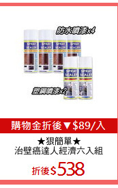 ★狠簡單★
治壁癌達人經濟六入組