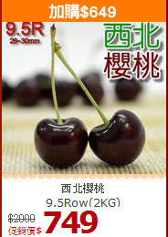 西北櫻桃<br>9.5Row(2KG)