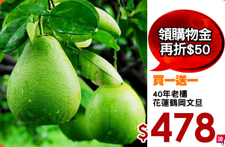 40年老欉
花蓮鶴岡文旦