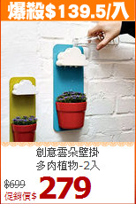 創意雲朵壁掛<BR>
多肉植物-2入