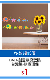DALI-創意無痕壁貼
台灣製-無毒環保