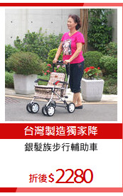 銀髮族步行輔助車