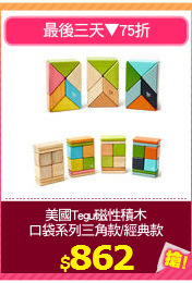 美國Tegu磁性積木
口袋系列三角款/經典款