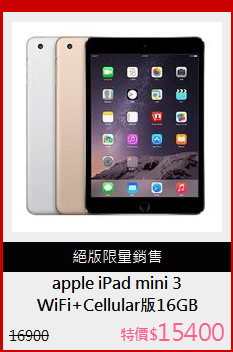 WiFi+Cellular版16GB
