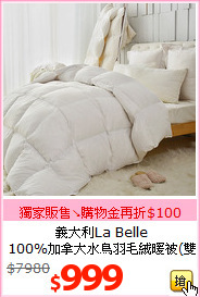 義大利La Belle<BR>
100%加拿大水鳥羽毛絨暖被(雙人)