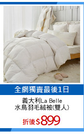 義大利La Belle
水鳥羽毛絨被(雙人)