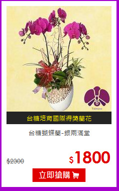 台糖蝴蝶蘭-銀兩滿堂