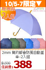 2mm 簡約都會
防風自動直傘-2入組