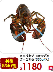 寶島福利站加拿大活凍<br>波士頓龍蝦(550g/尾)
