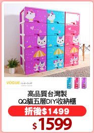 高品質台灣製
QQ貓五層DIY收納櫃