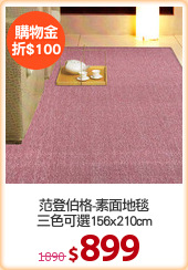 范登伯格-素面地毯
三色可選156x210cm
