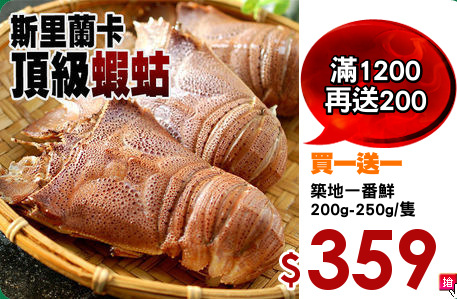築地一番鮮
200g-250g/隻