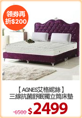 【AGNES艾格妮絲】
三線抗菌舒眠獨立筒床墊