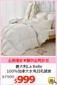 義大利La Belle<br>
100%加拿大水鳥羽毛絨被