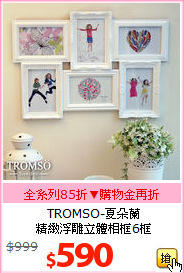 TROMSO-夏朵蘭<br>
精緻浮雕立體相框6框