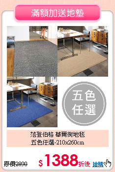 范登伯格 華爾街地毯<br>
五色任選-210x260cm