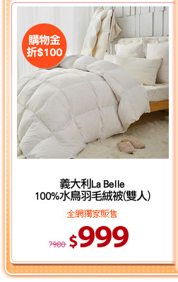 義大利La Belle
100%水鳥羽毛絨被(雙人)