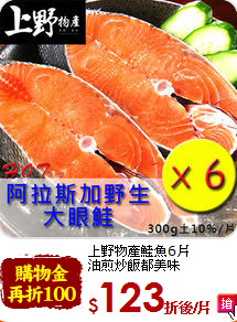 上野物產鮭魚6片<br>油煎炒飯都美味