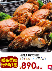 台灣青埔大閘蟹<br>4隻(4.0~4.4兩/隻)