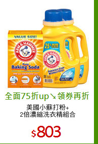 美國小蘇打粉+
2倍濃縮洗衣精組合