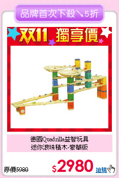 德國Quadrilla益智玩具<br>
迷你滾珠積木-豪華版