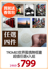 TROMSO世界風情無框畫
超值任選4入組