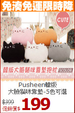 Pusheen韓版<br>
大臉貓咪靠墊-5色可選
