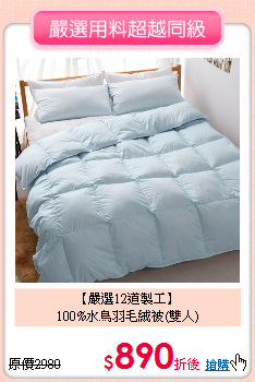 【嚴選12道製工】<BR>
100%水鳥羽毛絨被(雙人)