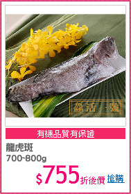 龍虎斑
700~800g