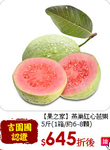 【果之家】燕巢紅心芭樂<br>5斤(1箱/約6-8顆)